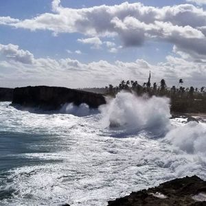 Meet your Posher, Sharon